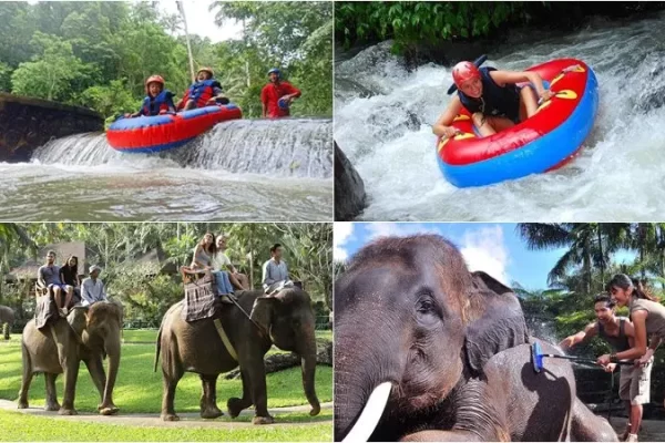 Pakerisan River Tubing + Bathing Elephant Tour