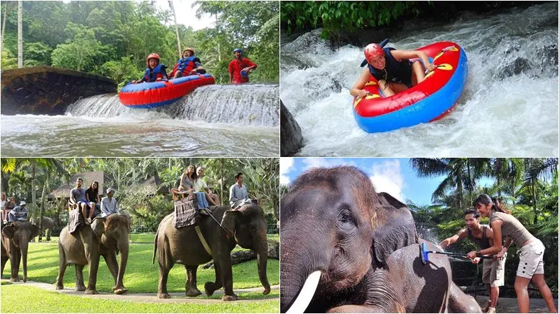 Pakerisan River Tubing + Bathing Elephant Tour