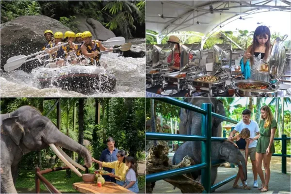 Mason Rafting + Picnic Elephant Tour Bali