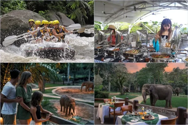 Mason Rafting + Sunset Elephant Tour Bali