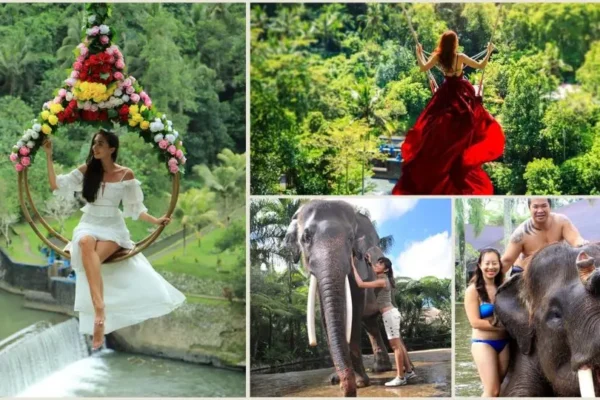 Real Bali Swing + Bathing Elephant Tour