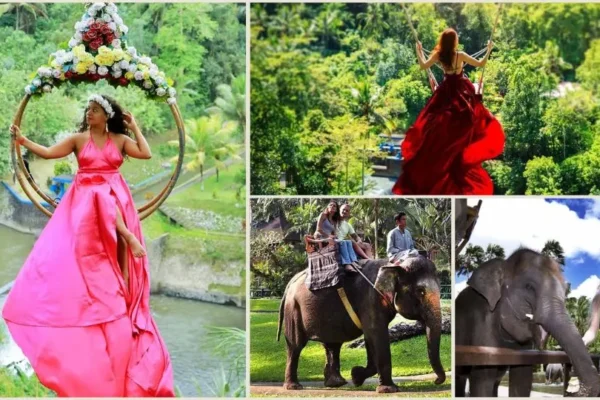 Real Bali Swing + Elephant Ride Tour