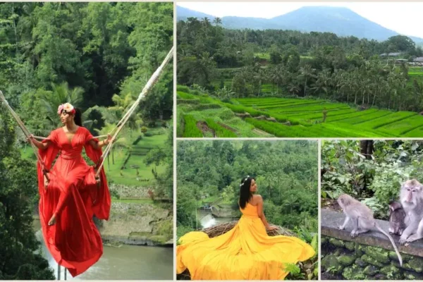 Real Bali Swing + Sangeh Monkey Forest Tour