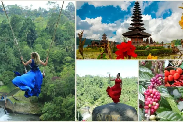 Real Bali Swing + Lake Temple Tour