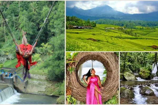 Real Bali Swing + Jatiluwih Waterfall Tour