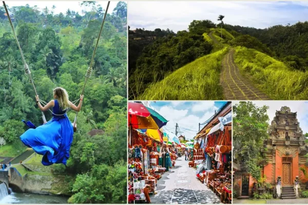 Real Bali Swing + Tjampuhan Ridge Walk + Ubud Tour