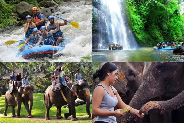 Sobek Ayung River Rafting + Mason Elephant Ride