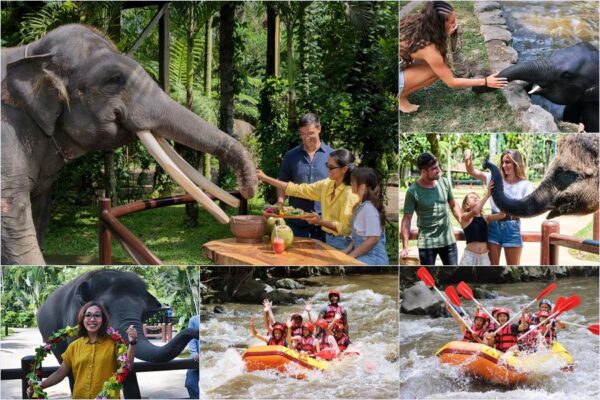 Elephant Picnic + Ayung River Rafting