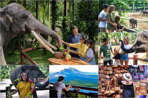 Elephant Picnic + Kintamani + Ubud