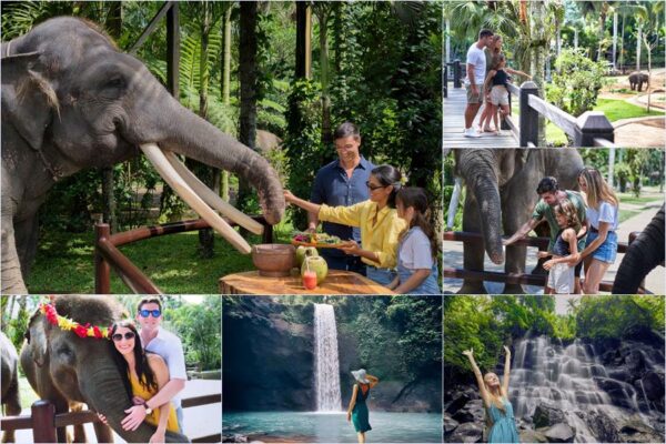 Elephant Picnic + Waterfall Tour