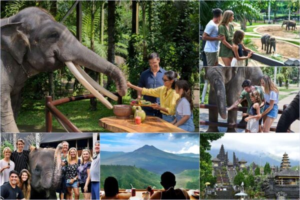 Elephant Picnic + Mother Temple Tour