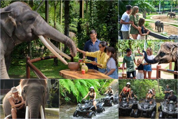 Elephant Picnic + ATV Ride Tour