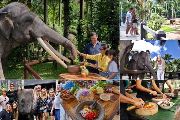 Elephant Picnic + Cooking Class Tour