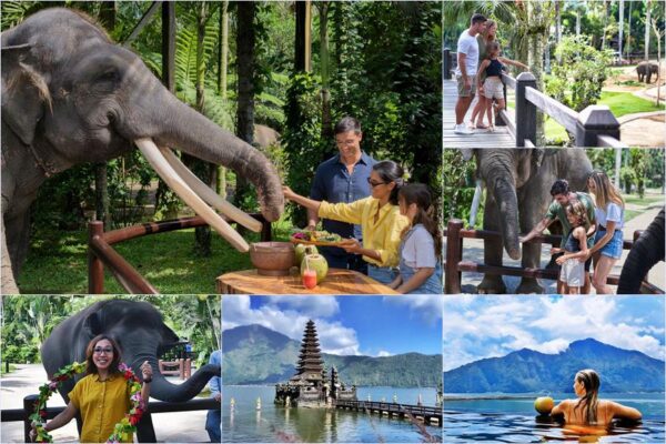 Elephant Picnic + Hot Spring Bali Tour