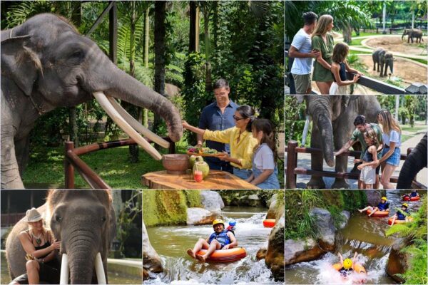 Elephant Picnic + Lazy Cave River Tubing Tour