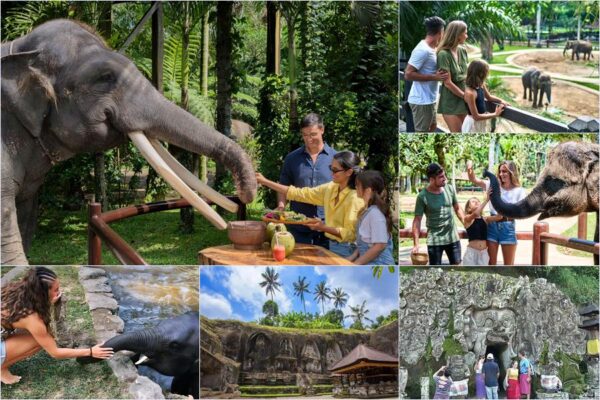 Elephant Picnic + Bali Archaeological Tour