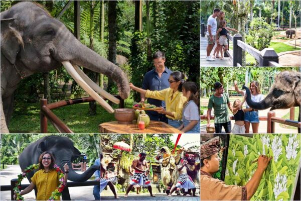 Elephant Picnic + Barong Dance Tour
