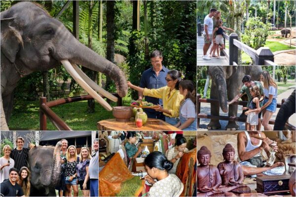 Elephant Picnic + Arts Shopping Tour