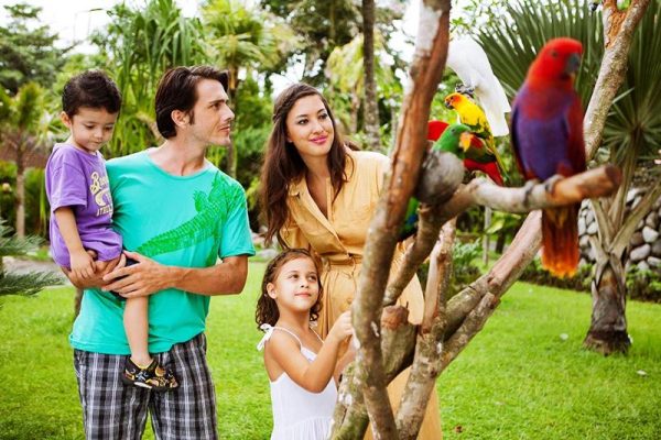 Bali Zoo Admission Tickets