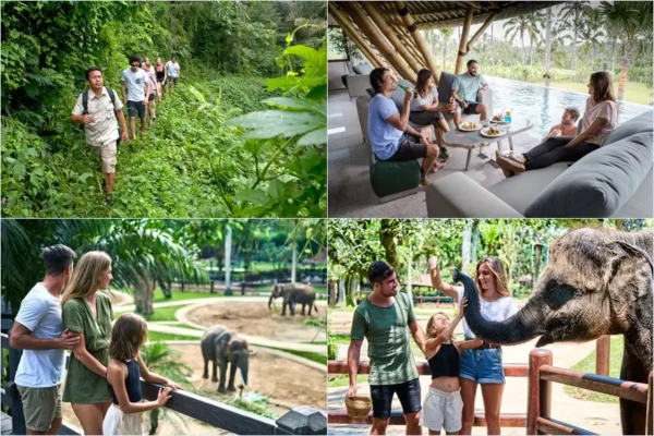 Tropical Trekking + Elephant Park Visit
