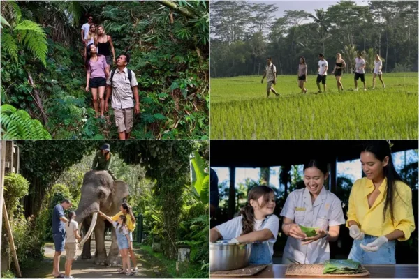 Tropical Trekking + Elephant Wellness Walk