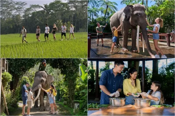 Tropical Trekking + Elephant Wellness Walk + Wash & Bathe