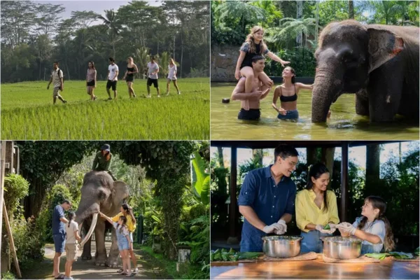 Tropical Trekking + Elephant Wellness Walk + Lake Bathe