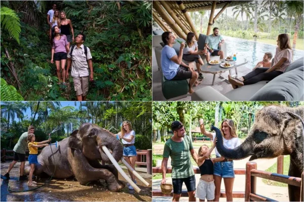 Tropical Trekking + Jumbo Wash Elephant Tour