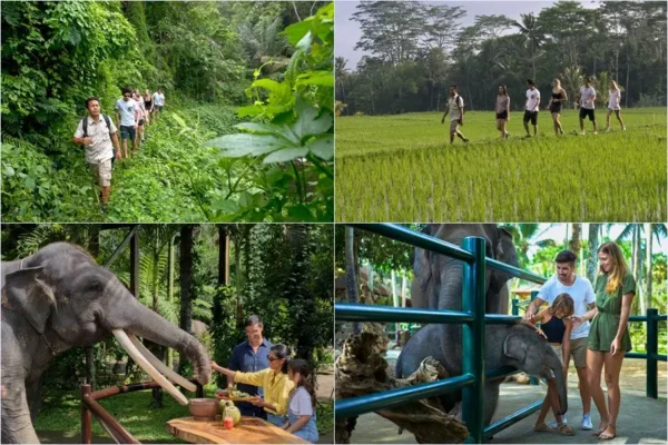 Tropical Trekking + Picnic Elephant Tour Bali