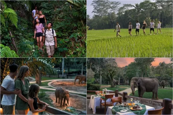 Tropical Trekking + Sunset Elephant Tour Bali
