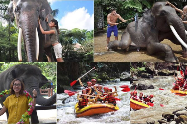 Hand Washing The Elephant + Rafting Bali Tour