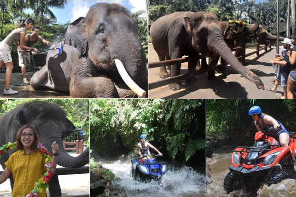 Hand Washing The Elephant + ATV Bali Ride Tour