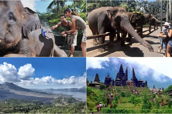 Hand Washing The Elephant + Mother Temple Tour