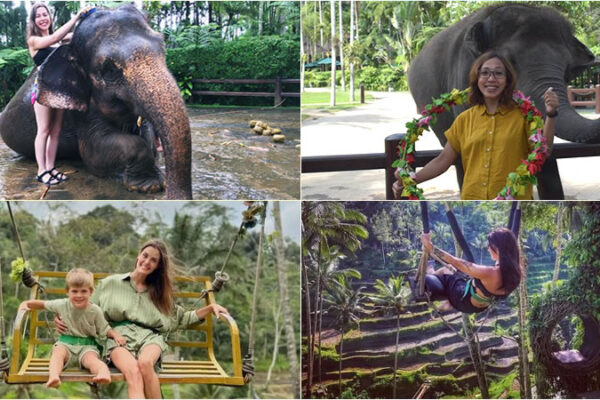 Hand Washing The Elephant + Swing Ubud Tour