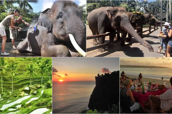 Hand Washing The Elephant + Uluwatu Dinner Tour