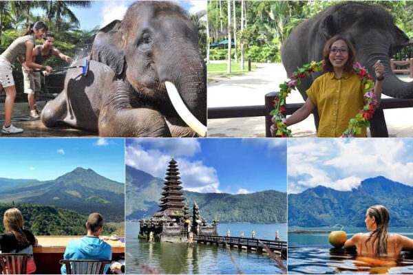 Hand Washing The Elephant + Hot Spring Tour