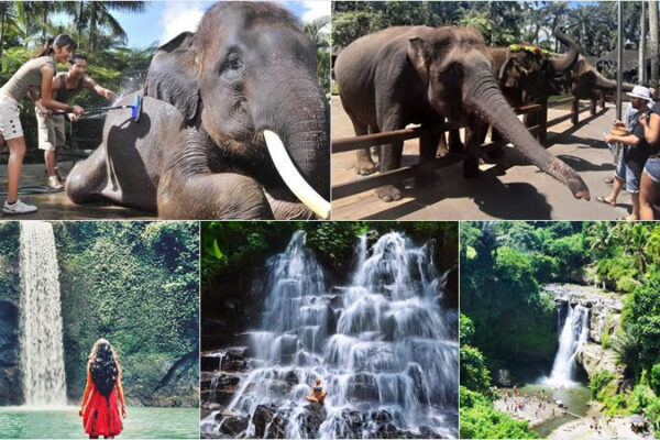 Hand Washing The Elephant + Three Waterfalls Tour