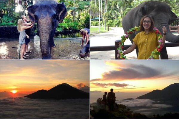 Hand Washing The Elephant + Mount Batur Hiking Tour