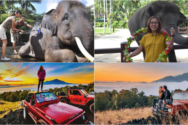 Hand Washing The Elephant + Sunrise Jeep Tour