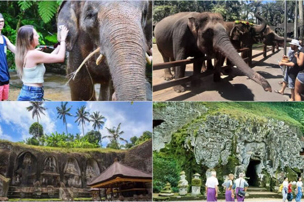Hand Washing The Elephant + Archeological Tour