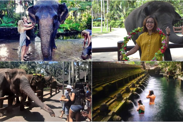Hand Washing The Elephant + Purification Tour