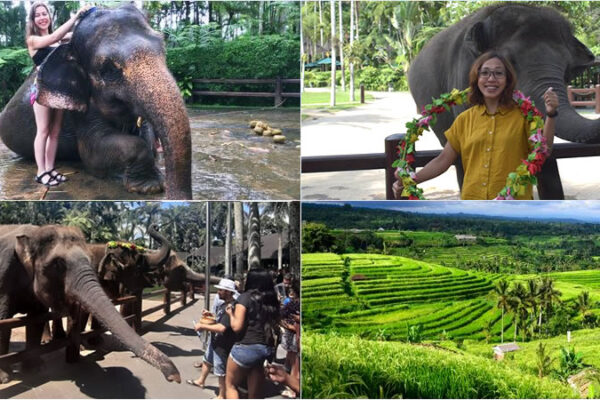 Hand Washing The Elephant + Jatiluwih World Heritage Tour