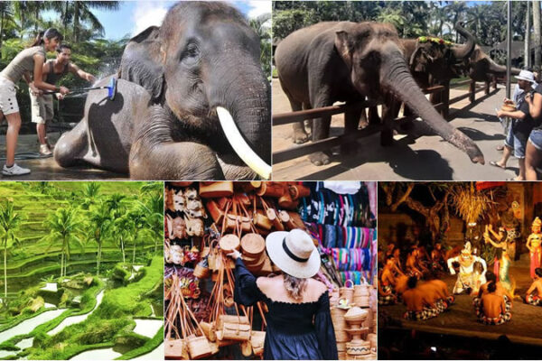 Hand Washing The Elephant + Kecak Dance Tour