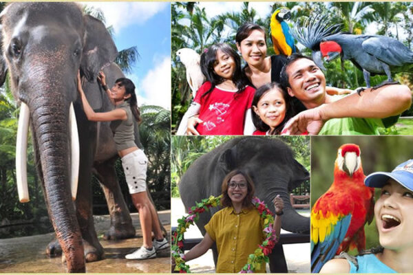 Hand Washing The Elephant + Bali Bird Park