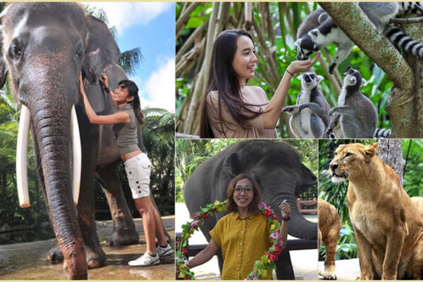 Hand Washing The Elephant + Bali Zoo