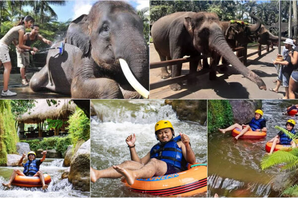 Hand Washing The Elephant + Lazy Cave River Tubing