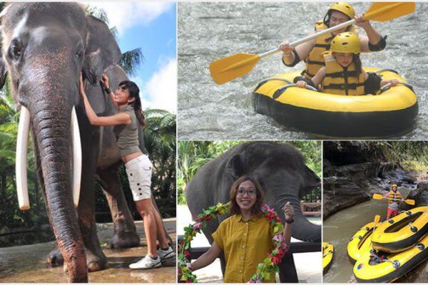 Hand Washing The Elephant + Wos River Tubing