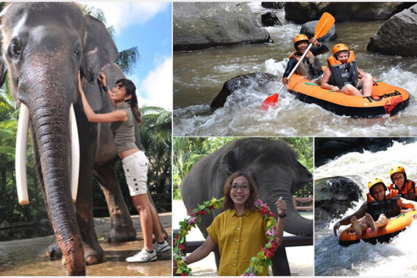 Hand Washing The Elephant + Ayung River Tubing