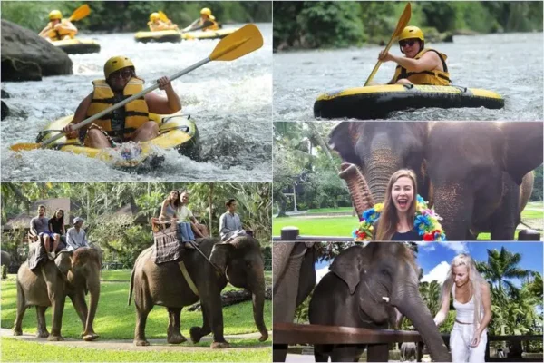 Wos River Tubing + Elephant Ride Tour
