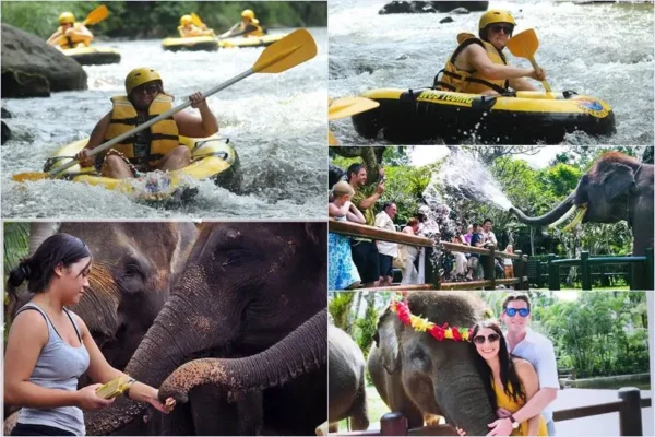 Wos River Tubing + Mason Elephant Park Visit Tour